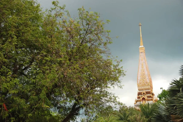 Blick Durch Die Blätter Des Turms Von Wat Chalong Tempel — Stockfoto