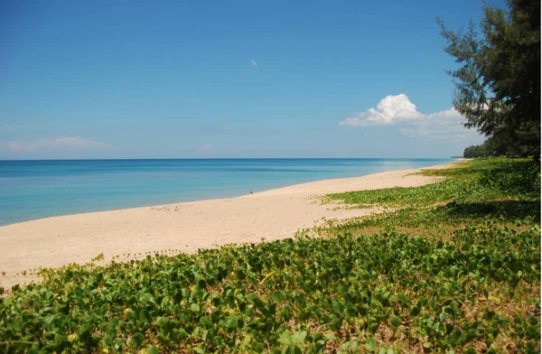 Playa Mai Khao Parque Nacional Sirinat Phuket Island Tailandia — Foto de Stock