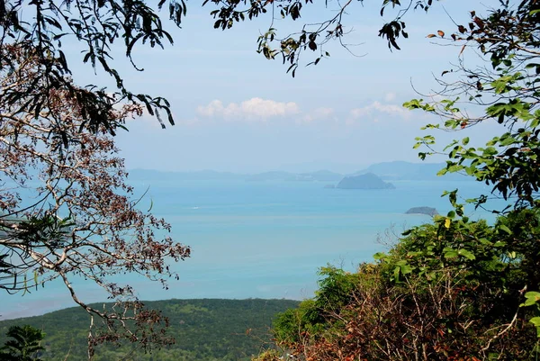 Vista Del Mar Turquesa Con Rocas Través Ramas Árboles Tailandia — Foto de Stock
