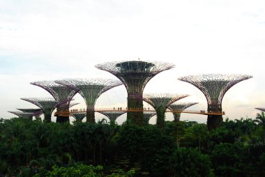 Bay tarafından Supertree Grove ve Bahçeleri Görünümü, Singapur 
