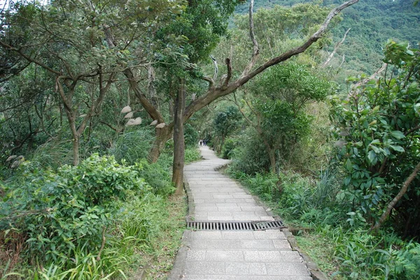 Caminho Pedra Que Atravessa Parque Árvores Verdes — Fotografia de Stock