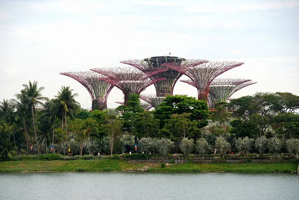 Bay Tarafından Supertree Grove Bahçeleri Görünümü Singapur — Stok fotoğraf