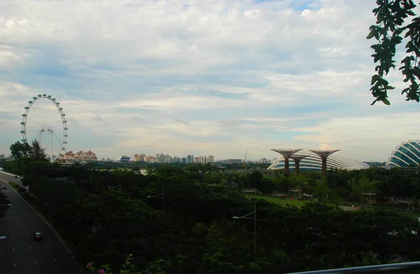 Veduta Dei Giardini Vicino Alla Baia Con Singapore Flyer — Foto Stock