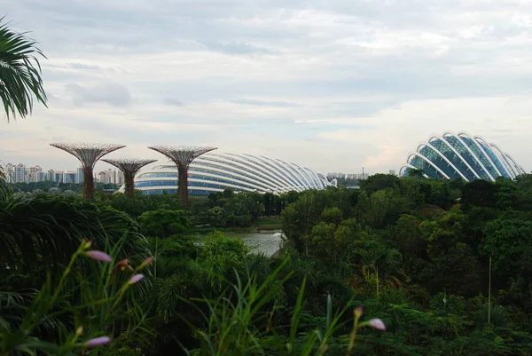 Vista Jardins Junto Baía Com Cúpula Flores Floresta Nuvem Cingapura — Fotografia de Stock