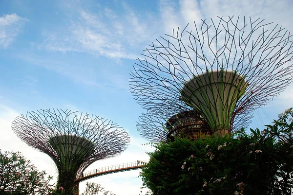 Skyway Topo Supertree Grove Jardins Perto Baía Singapura — Fotografia de Stock