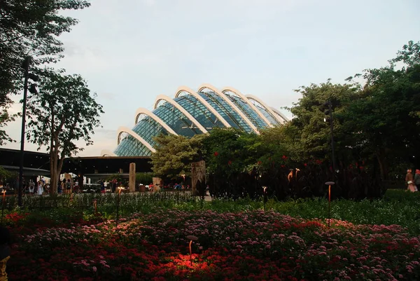 Blumenkuppel Gärten Der Bucht Singapore — Stockfoto