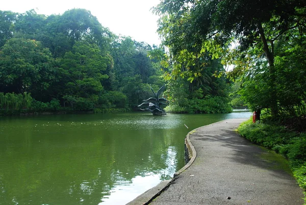 Flight Swans Statua Jeziorze Swan Singapurze Botanic Garden — Zdjęcie stockowe