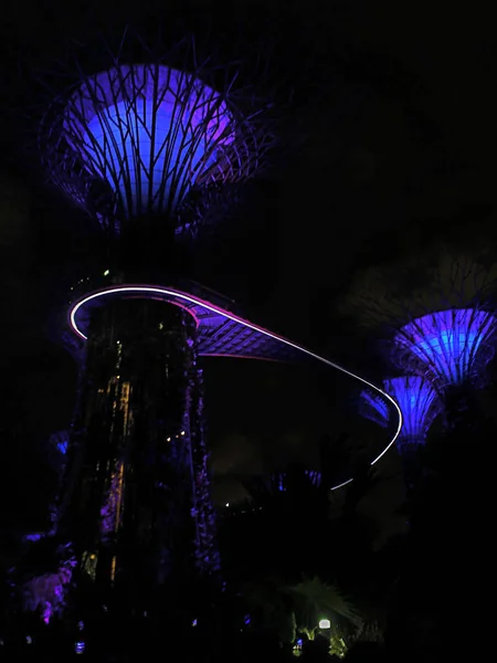 Zahradní Rhapsody Light Show Supetree Grove Zahradách Zátoky Singapuru Večer — Stock fotografie