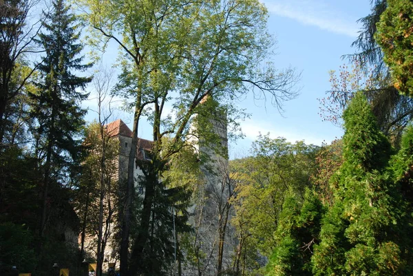 Salvado Castillo Drácula Las Montañas Cárpatos Transilvania Rumania Vista Través —  Fotos de Stock