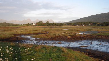 Vesteralen takımadalarında Vikosen Doğa Rezervi'ndeki çayırlar, akarsular ve dağlar, norveç, sabah