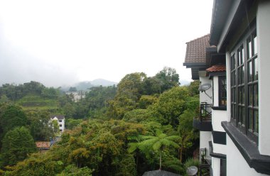Cameron Highlands, Malezya'da orman ve dağ manzarası