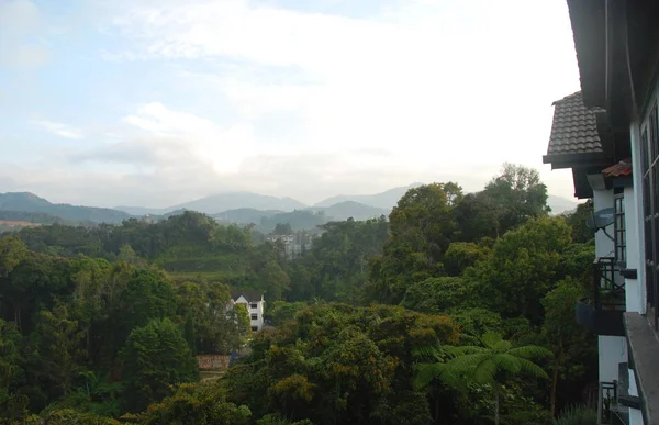 Θέα Στη Ζούγκλα Και Βουνό Υψίπεδα Κάμερον Μαλαισία — Φωτογραφία Αρχείου