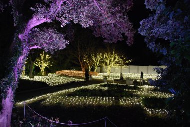 Enoshima Samuel Cocking Garden Kış Aydınlatmaları ışık festivali sırasında 2017 Japonya'nın Fujisawa kentinde