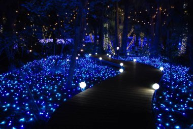 Fujisawa, Japonya 'daki Enoshima Adası' nda Kış Işıklandırma Festivali, 2017