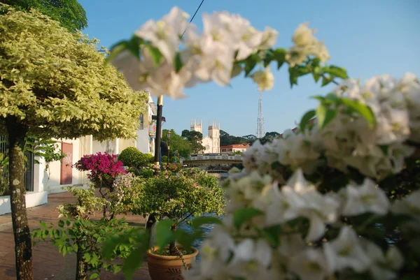 Blick Auf Die Kirche Von Francis Xavier Durch Blumen Und — Stockfoto