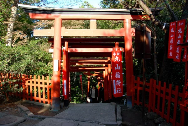 Porte Torii Japonaise Traditionnelle Rouge Dans Région Sanctuaire Shinto Tsurugaoka — Photo