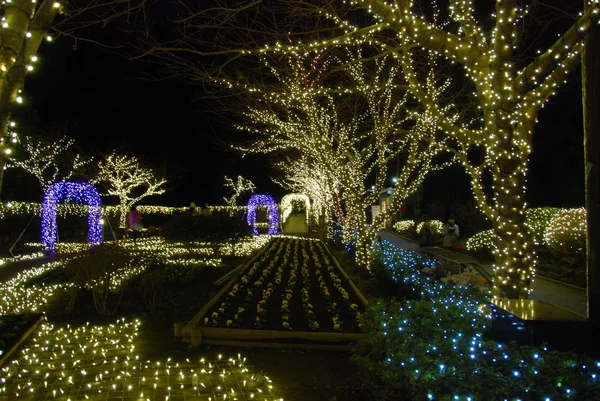 Enoshima Samuel Cocking Garden Winter Illuminations Light Festival 2017 Fujisawa — Stock Photo, Image