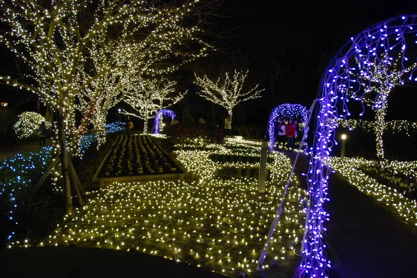 Iluminações Inverno Light Festival 2017 Ilha Enoshima Fujisawa Japão — Fotografia de Stock