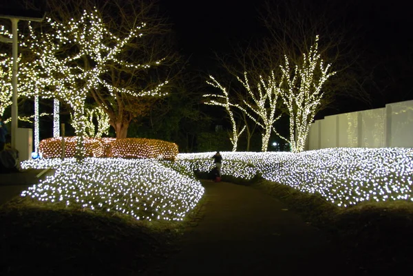 Winter Iluminations Festival Enoshima Fujisawa Japan — Stockfoto