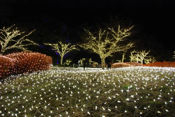 Enoshima Samuel Cocking Garden Vinterbelysningar Ljus Festival 2017 Fujisawa Stad — Stockfoto