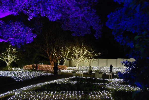 Enoshima Samuel Cocking Garden Vinterbelysningar Ljus Festival 2017 Fujisawa Stad — Stockfoto