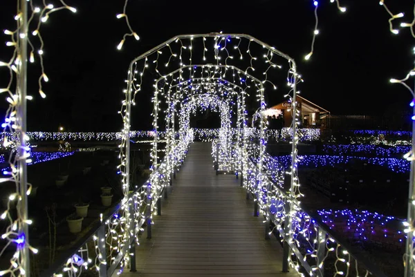 Tunnel Blå Glödlampor Winter Illuminations Ljus Festival Enoshima Island Japan — Stockfoto