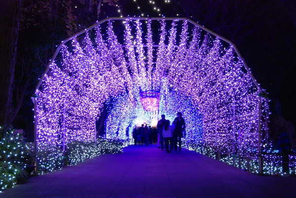 Túnel Iluminações Inverno Festival Luz Ilha Enoshima Japão — Fotografia de Stock