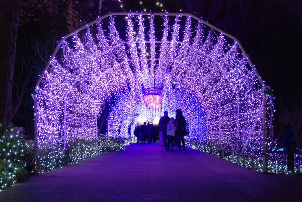 Túnel Azul Iluminações Inverno Festival Luz Ilha Enoshima Japão — Fotografia de Stock