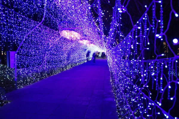 Intérieur Tunnel Avec Des Ampoules Bleues Sur Festival Lumière Winter — Photo