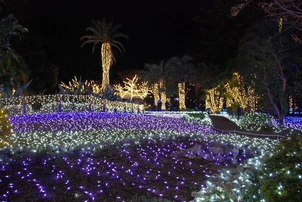 Vinter Iluminations Ljusfestival 2017 Enoshimaön Fujisawa Japan — Stockfoto