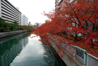 Tokyo Fukagawa ilçesinde Sonbahar bir Sumida nehri yansıyan