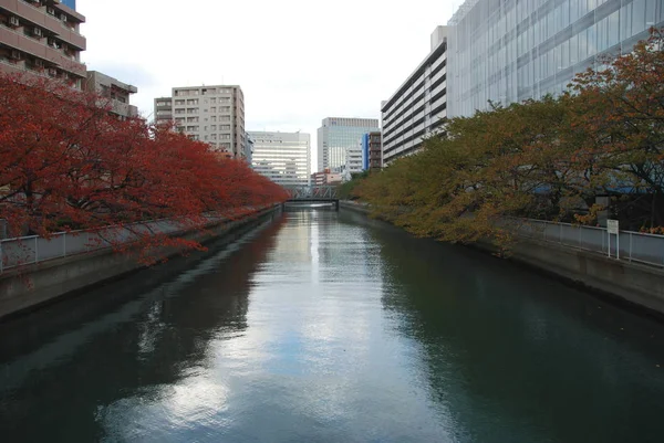Okres Tokio Podzim Který Odrážel Řece Sumida — Stock fotografie