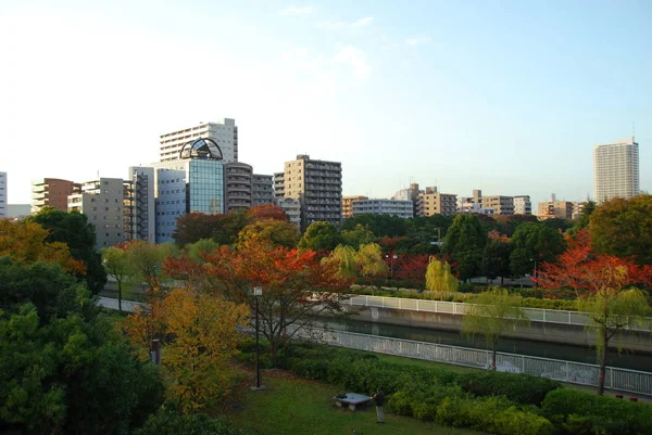 Kiba Parc Aux Couleurs Automnales Quartier Tomioka Tokyo — Photo