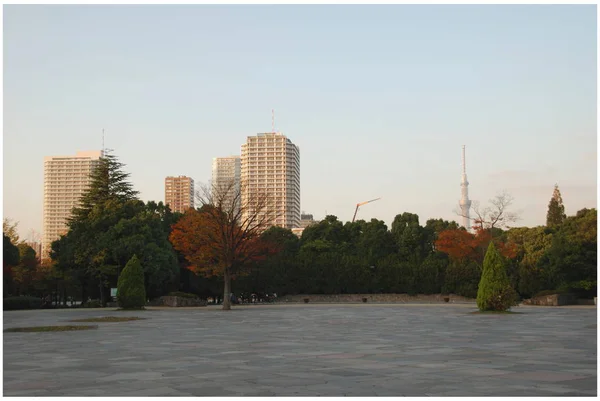 Парк Киба Осенним Цветом Томиока — стоковое фото
