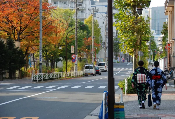 Twee Japanse Vrouwen Dragen Traditionele Japanse Formele Kimono Wandelen Straat — Stockfoto