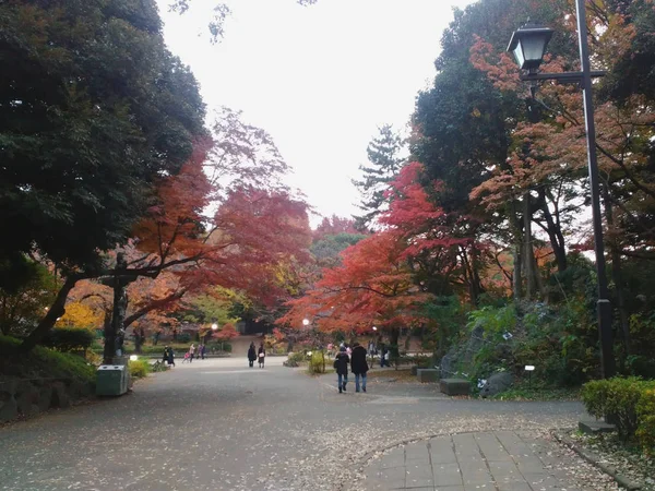 Park Ueno Jesiennych Kolorowych Drzewach — Zdjęcie stockowe