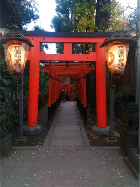 Portes Couleur Rouge Torii Sanctuaire Hanazono Inari Dans Parc Ueno — Photo