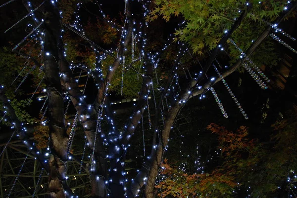 2017年冬季照明灯节期间东京中城的灯光装饰 — 图库照片