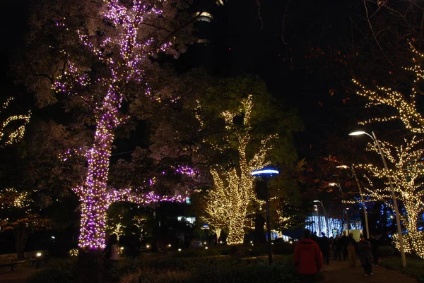 Lights Dekoration Tokyo Midtown Winter Illuminations Ljus Festival 2017 — Stockfoto