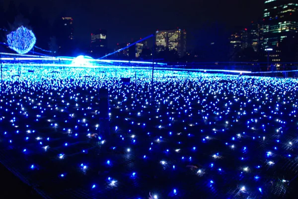 Inverno Iluminações Festival Luz Tóquio Midtown 2017 Que Realizada Como — Fotografia de Stock