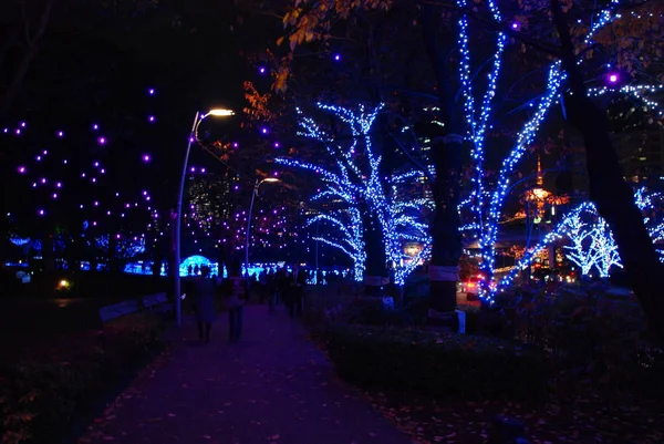 Decoração Luzes Tóquio Midtown Durante Inverno Iluminations Light Festival 2017 — Fotografia de Stock