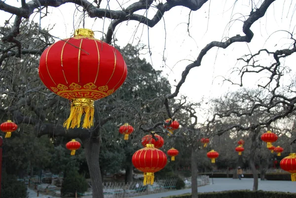 伝統的な中国の赤い豆ランプを作りますで飾られた公園 — ストック写真