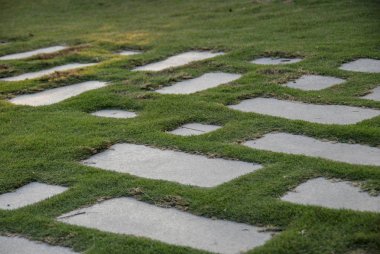 Bir çimenlikte kesişen yolun soyut görünümü 