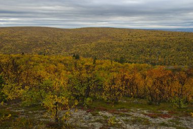 Finlandiya, Norveç 'teki dağların ve sonbahar ormanlarının manzarası 