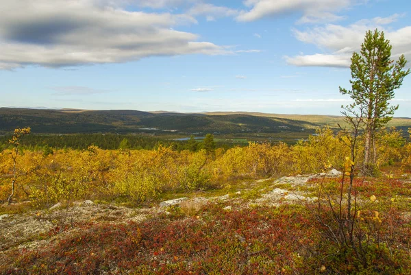 Podzimní Barvy Severním Norsku — Stock fotografie