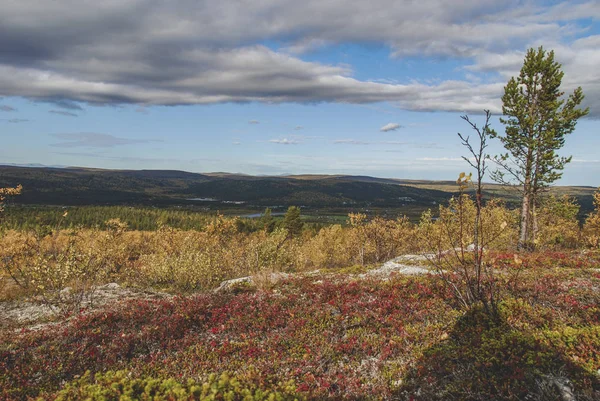 Harde Natuur Van Noord Noorwegen — Stockfoto