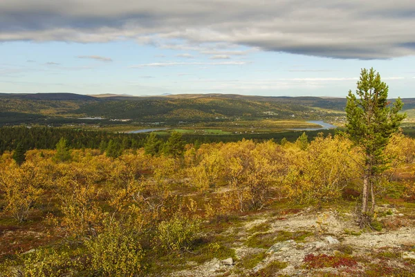 Krajina Horských Podzimních Lesů Finnmarku Norsko — Stock fotografie