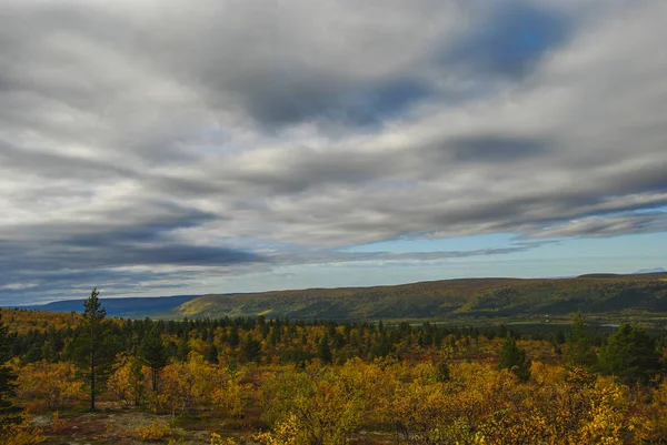 Panorama Mountain Autumn Forests Finnmark Norway — Stock fotografie