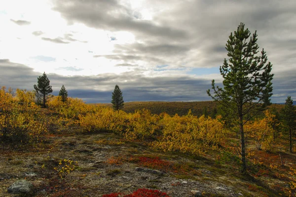 Kleurrijke Herfst Noord Noorwegen Finnmark Regio — Stockfoto