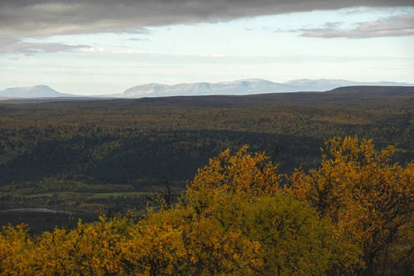 Krajina Podzimního Lesa Oblasti Finnmark Norsko Masivními Horami Pozadí — Stock fotografie